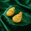 Golden Tide Conch