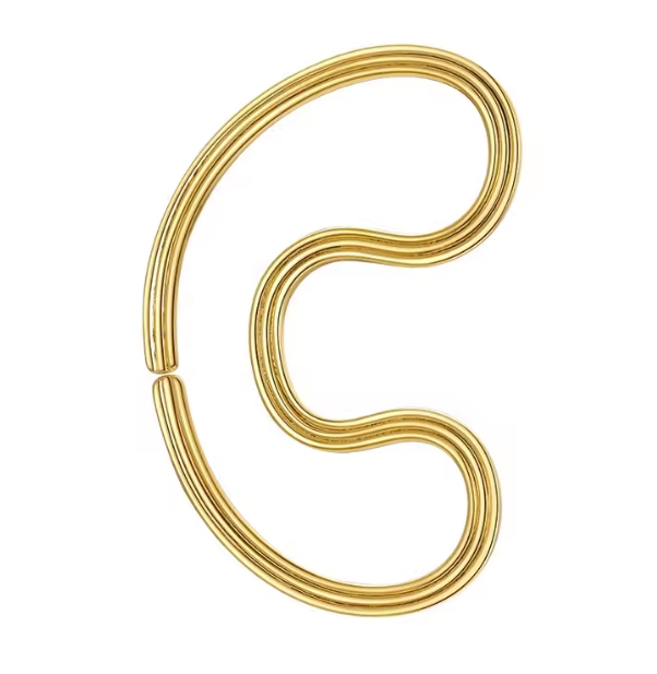 Auric Pinna Clip